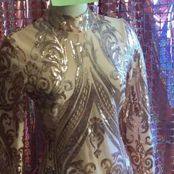 NWOT long sleeved dress with nude underlay & rose gold sequins throughout SM - Picture 6 of 14